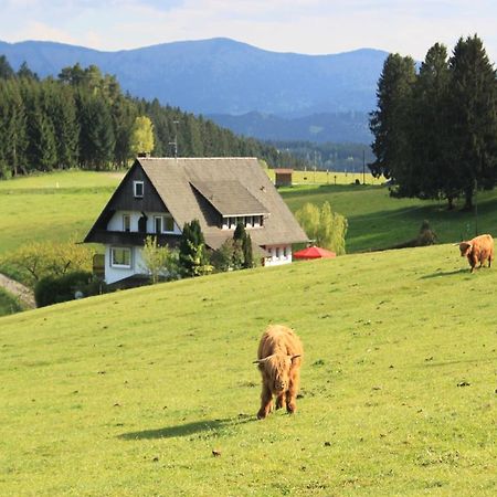 Cafe Pfaus Heidburg Hotel Mühlenbach Eksteriør billede