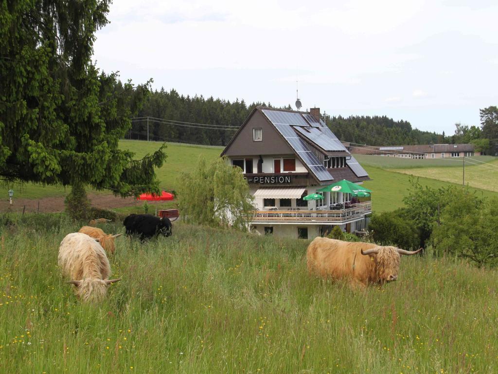 Cafe Pfaus Heidburg Hotel Mühlenbach Eksteriør billede