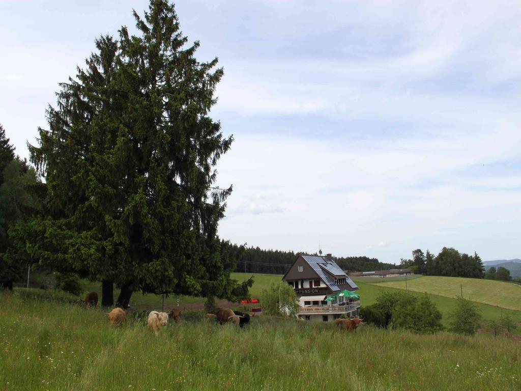 Cafe Pfaus Heidburg Hotel Mühlenbach Eksteriør billede