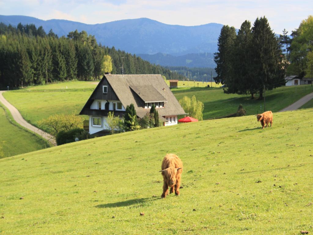 Cafe Pfaus Heidburg Hotel Mühlenbach Eksteriør billede