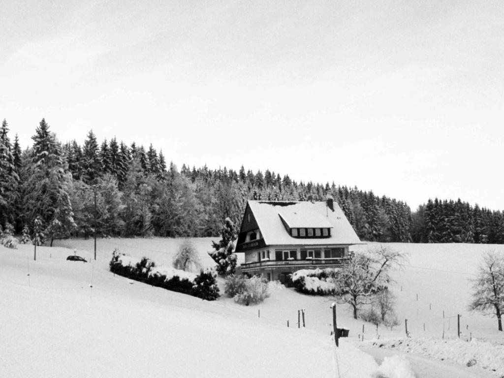 Cafe Pfaus Heidburg Hotel Mühlenbach Eksteriør billede