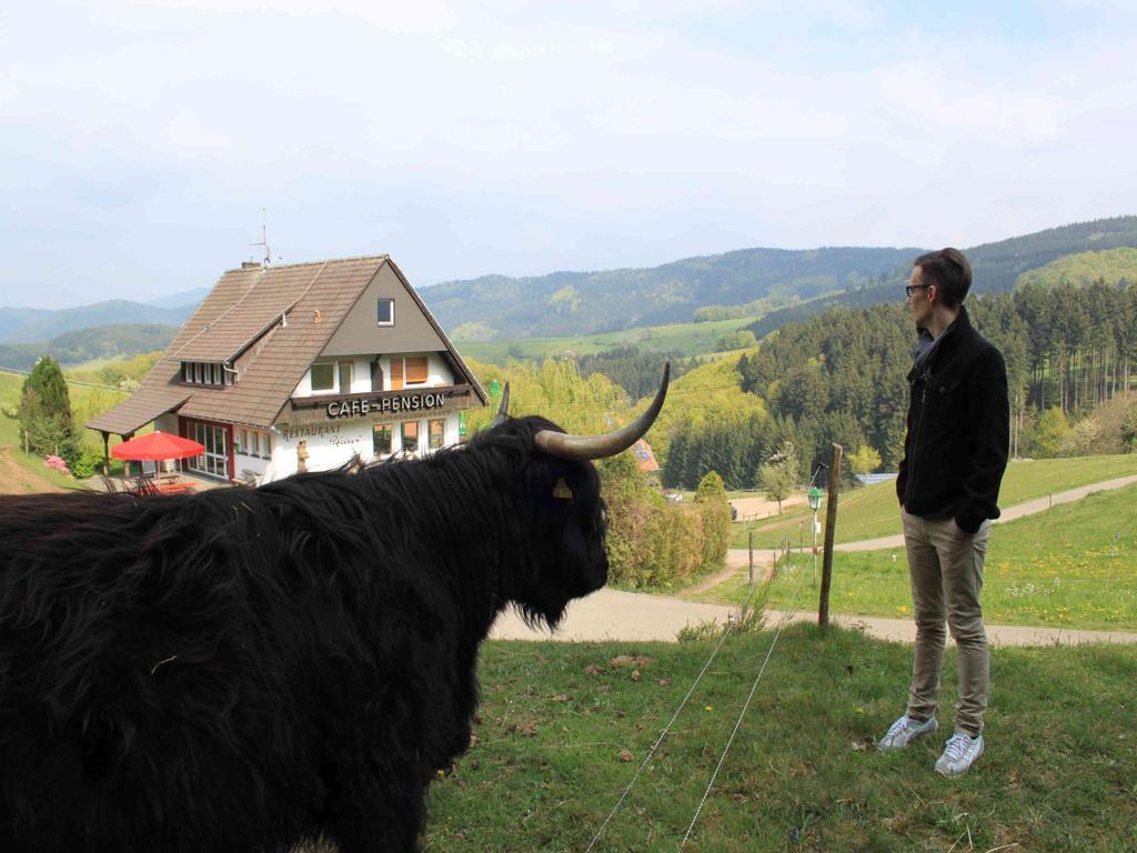 Cafe Pfaus Heidburg Hotel Mühlenbach Eksteriør billede